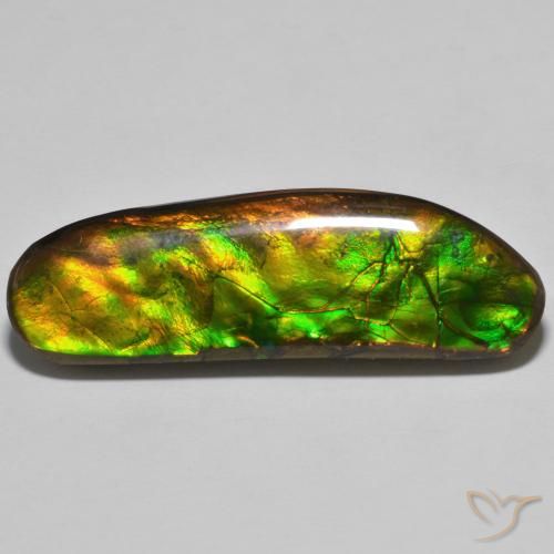 23.11ct Natural Multicolor amolita, Elegante, Opaco