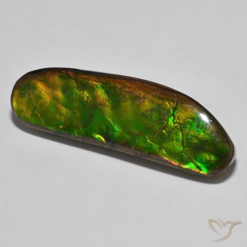 amolita Multicolor natural de 23.11 ct, Elegante, Opaco