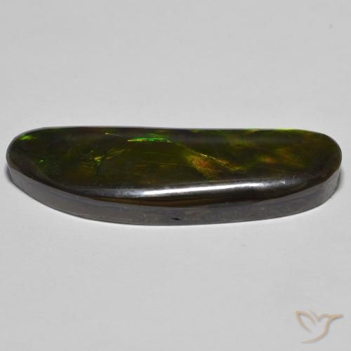 amolita Multicolor natural de 23.11 ct, Elegante, Opaco