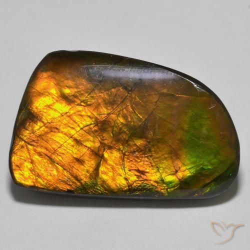 23.93ct Natural Multicolor amolita, Elegante, Opaco