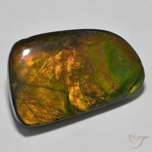 amolita Multicolor natural de 23.93 ct, Elegante, Opaco