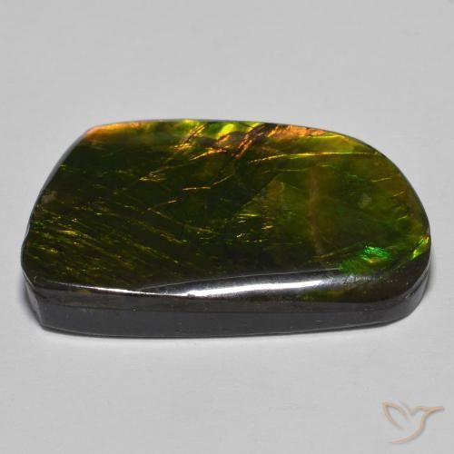 amolita Multicolor natural de 23.93 ct, Elegante, Opaco