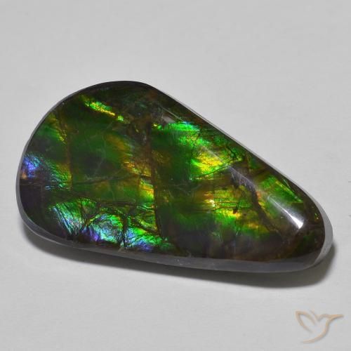 amolita Multicolor natural de 15.09 ct, Elegante, Opaco