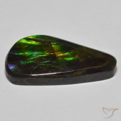 amolita Multicolor natural de 15.09 ct, Elegante, Opaco