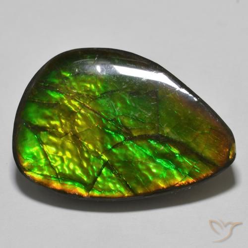 24.89ct Natural Multicolor amolita, Elegante, Opaco