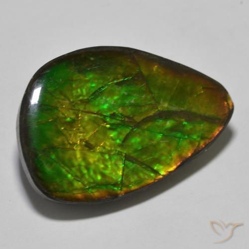 amolita Multicolor natural de 24.89 ct, Elegante, Opaco