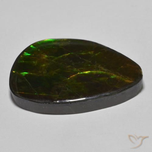 amolita Multicolor natural de 24.89 ct, Elegante, Opaco