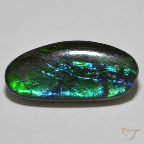 amolita Multicolor natural de 18.92 ct, Elegante, Opaco