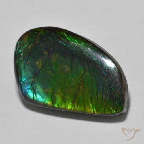 21.44ct Natural Multicolor amolita, Elegante, Opaco