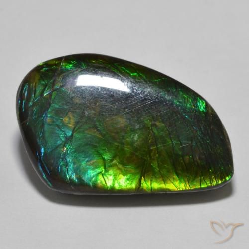 amolita Multicolor natural de 21.44 ct, Elegante, Opaco