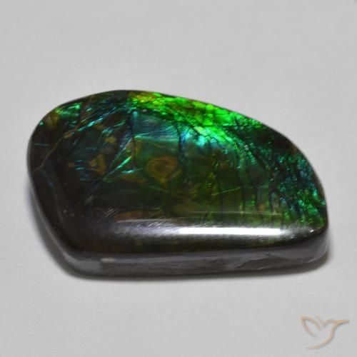 amolita Multicolor natural de 21.44 ct, Elegante, Opaco