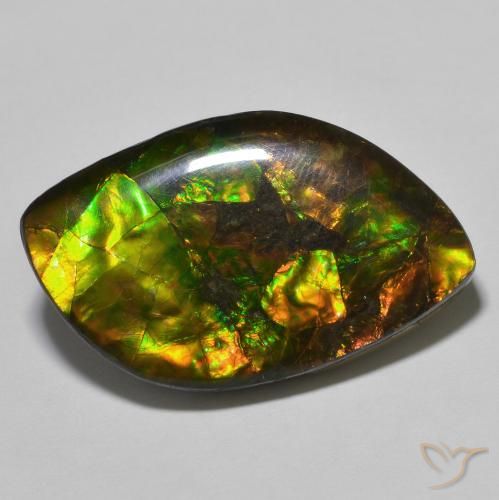 22.60ct Natural Multicolor amolita, Elegante, Opaco