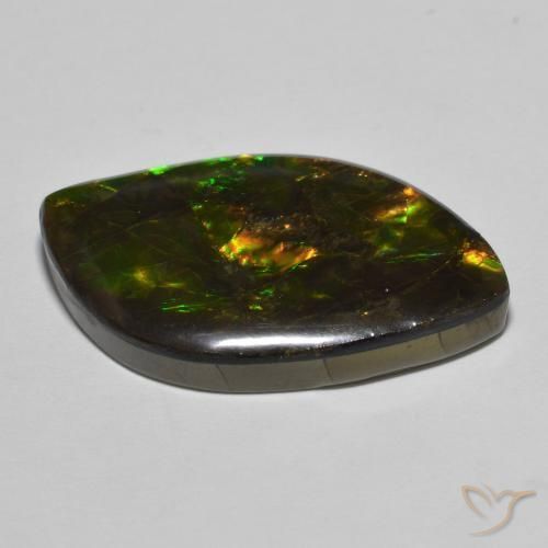 amolita Multicolor natural de 22.60 ct, Elegante, Opaco