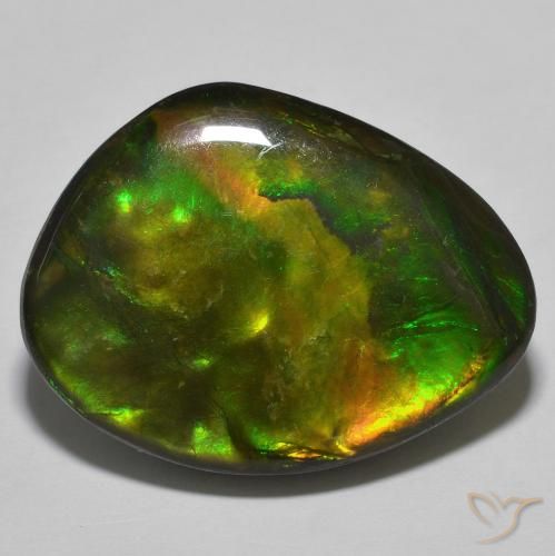 22.15ct Natural Multicolor amolita, Elegante, Opaco