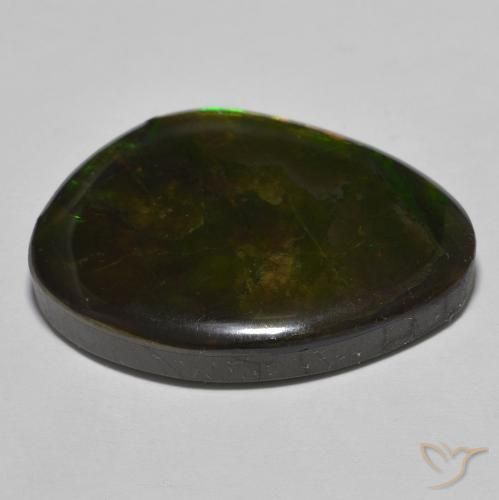 amolita Multicolor natural de 22.15 ct, Elegante, Opaco