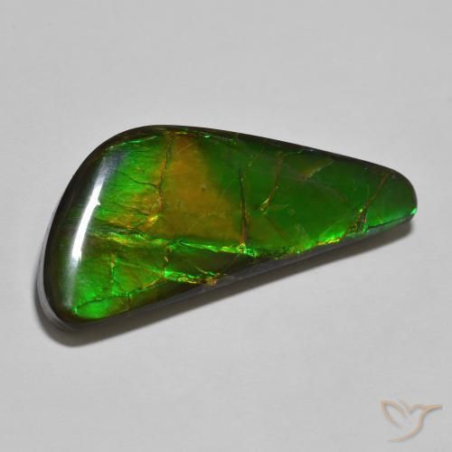22.11ct Natural Multicolor amolita, Elegante, Opaco