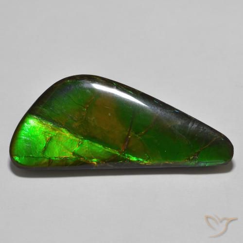 amolita Multicolor natural de 22.11 ct, Elegante, Opaco