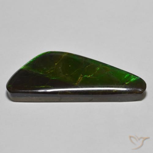 amolita Multicolor natural de 22.11 ct, Elegante, Opaco