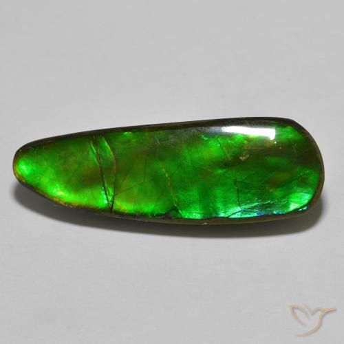 17.83ct Natural Multicolor amolita, Elegante, Opaco