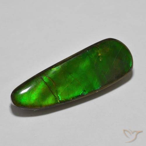 amolita Multicolor natural de 17.83 ct, Elegante, Opaco