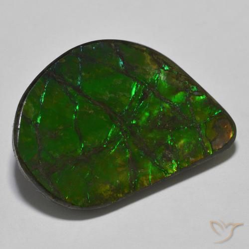 amolita Multicolor natural de 21.40 ct, Elegante, Opaco