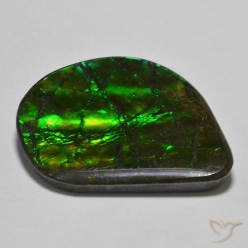 amolita Multicolor natural de 21.40 ct, Elegante, Opaco