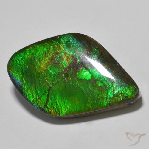 19.69ct Natural Multicolor amolita, Elegante, Opaco