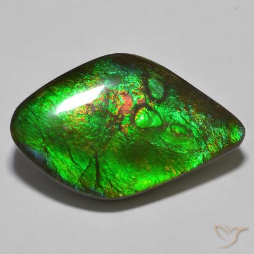 amolita Multicolor natural de 19.69 ct, Elegante, Opaco