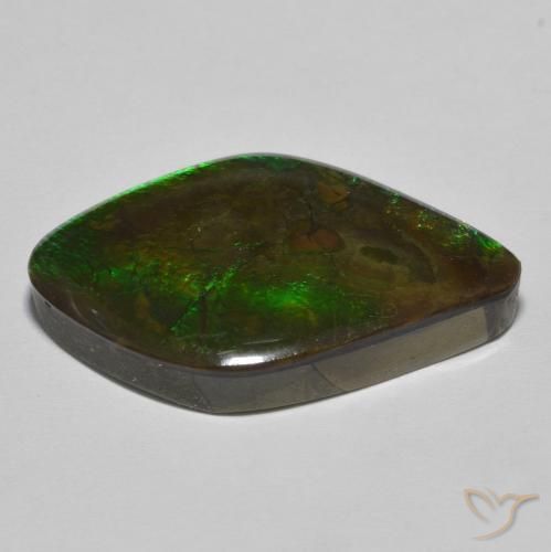 amolita Multicolor natural de 19.69 ct, Elegante, Opaco
