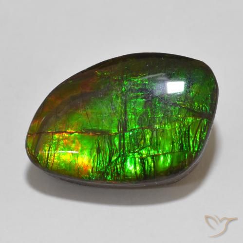 13.47ct Natural Multicolor amolita, Elegante, Opaco