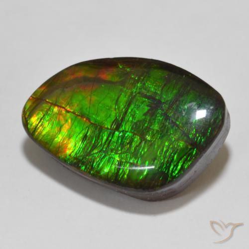 amolita Multicolor natural de 13.47 ct, Elegante, Opaco