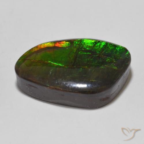 amolita Multicolor natural de 13.47 ct, Elegante, Opaco