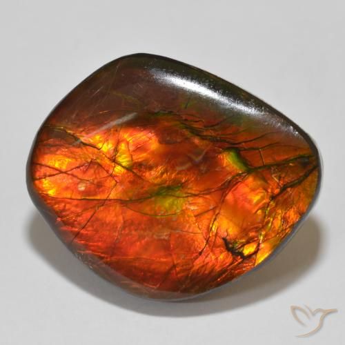 15.32ct Natural Multicolor amolita, Elegante, Opaco