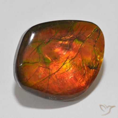 amolita Multicolor natural de 15.32 ct, Elegante, Opaco
