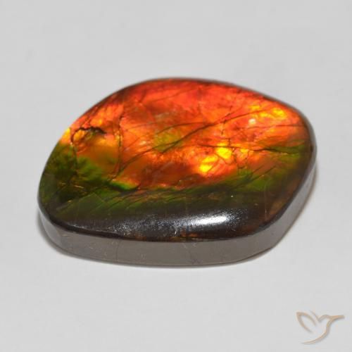 amolita Multicolor natural de 15.32 ct, Elegante, Opaco