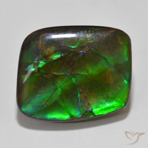 14.81ct Natural Multicolor amolita, Elegante, Opaco