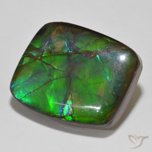 amolita Multicolor natural de 14.81 ct, Elegante, Opaco