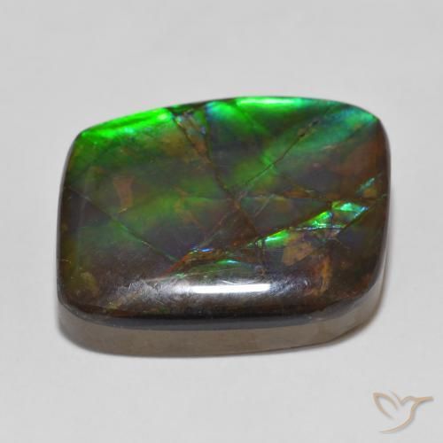 amolita Multicolor natural de 14.81 ct, Elegante, Opaco