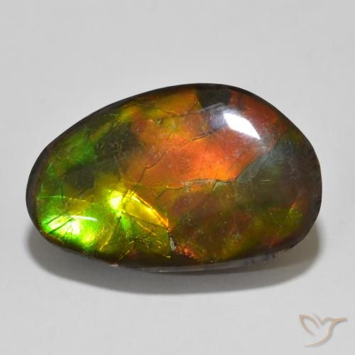 13.56ct Natural Multicolor amolita, Elegante, Opaco