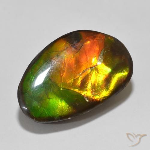 amolita Multicolor natural de 13.56 ct, Elegante, Opaco