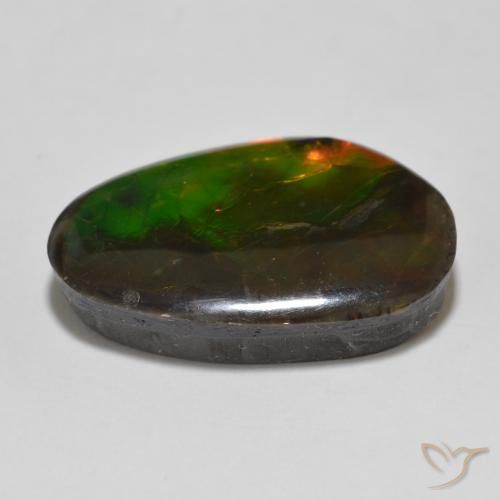 amolita Multicolor natural de 13.56 ct, Elegante, Opaco