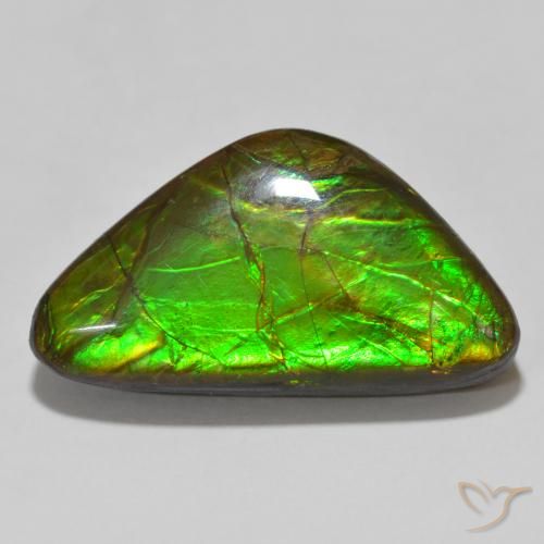 15.46ct Natural Multicolor amolita, Elegante, Opaco