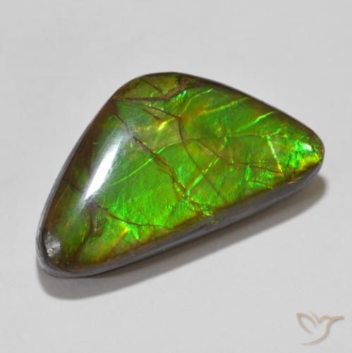 amolita Multicolor natural de 15.46 ct, Elegante, Opaco
