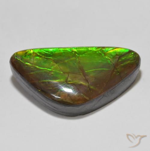 amolita Multicolor natural de 15.46 ct, Elegante, Opaco