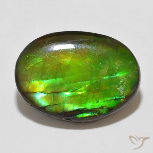 12.26ct Natural Multicolor amolita, Ovalada, Opaco