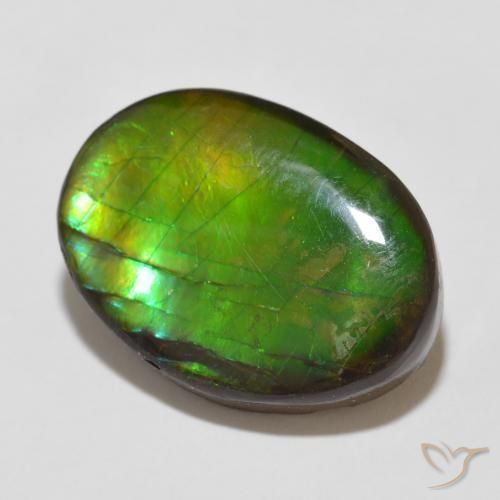 amolita Multicolor natural de 12.26 ct, Ovalada, Opaco