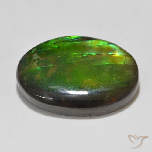 amolita Multicolor natural de 12.26 ct, Ovalada, Opaco