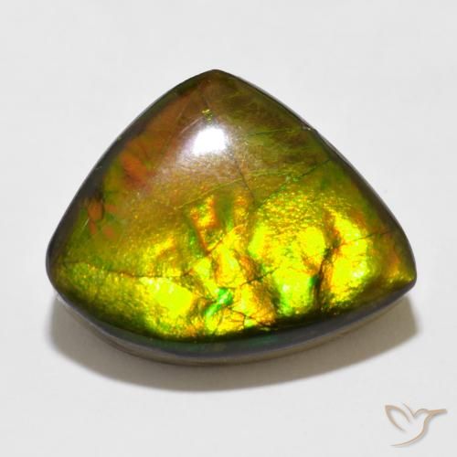 11.47ct Natural Multicolor amolita, Elegante, Opaco