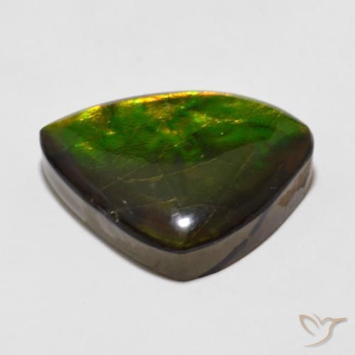 amolita Multicolor natural de 11.47 ct, Elegante, Opaco