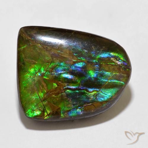 15.49ct Natural Multicolor amolita, Elegante, Opaco